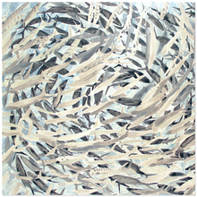 Load image into Gallery viewer, Barracuda Acrylic Prints