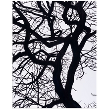 Load image into Gallery viewer, Camus Acrylic Prints