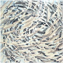 Load image into Gallery viewer, Barracuda Acrylic Prints