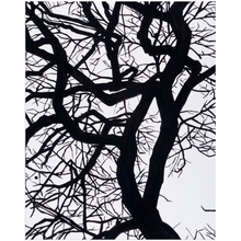 Load image into Gallery viewer, Camus Acrylic Prints