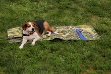 Load image into Gallery viewer, Peacock Yoga Mat