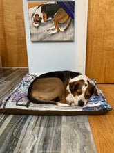 Load image into Gallery viewer, Purple Snow Dog Beds