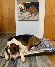 Load image into Gallery viewer, Purple Snow Dog Beds