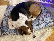 Load image into Gallery viewer, Purple Snow Dog Beds