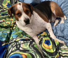 Load image into Gallery viewer, Peacock Duvet Covers