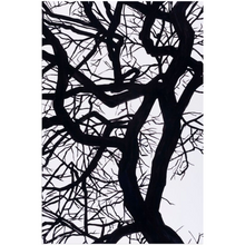Load image into Gallery viewer, Camus Acrylic Prints