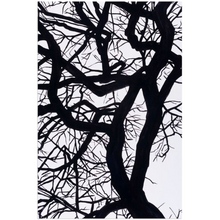 Load image into Gallery viewer, Camus Acrylic Prints
