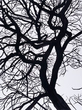 Load image into Gallery viewer, Camus Winter Tree Duffle Bags