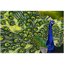 Load image into Gallery viewer, Peacock: Acrylic Prints