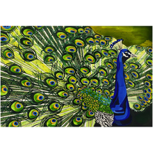 Load image into Gallery viewer, Peacock: Acrylic Prints