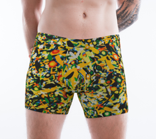 Load image into Gallery viewer, Avalon Boxer Briefs