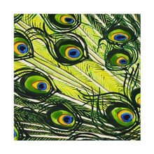 Load image into Gallery viewer, Peacock Feathers Cloth Napkins or Pocket Squares