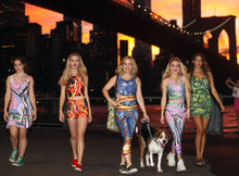 Load image into Gallery viewer, Phoenix Crop Top