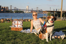 Load image into Gallery viewer, Barracudas Crop Top