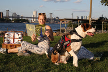 Load image into Gallery viewer, Peacock Sketchbook