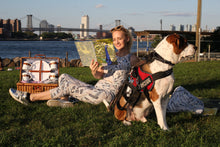 Load image into Gallery viewer, Peacock Sketchbook