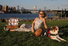 Load image into Gallery viewer, Barracuda Capris Leggings