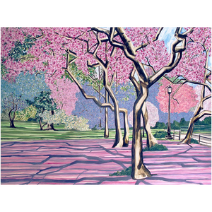 Cherry Blossoms Acrylic Prints