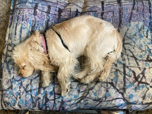 Purple Snow Dog Beds