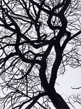 Load image into Gallery viewer, Camus Winter Tree Yoga Capris
