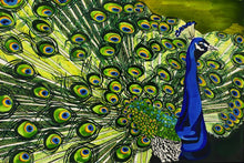Load image into Gallery viewer, Peacock Fleece Sherpa Blanket
