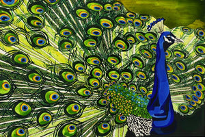 Peacock Draped Kimono