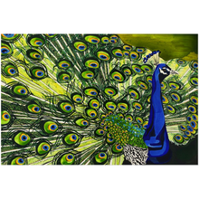 Load image into Gallery viewer, Peacock: Acrylic Prints
