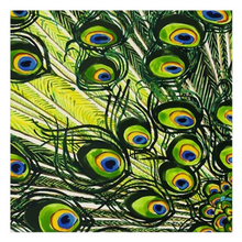Load image into Gallery viewer, Peacock Feathers Cloth Napkins or Pocket Squares
