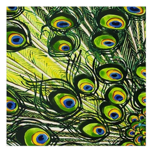 Peacock Feathers Cloth Napkins or Pocket Squares