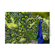 Peacock 5