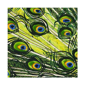 Peacock Feathers Cloth Napkins or Pocket Squares