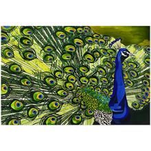 Load image into Gallery viewer, Peacock: Acrylic Prints
